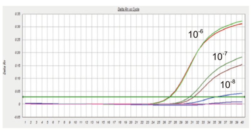 Real time PCR amplifi cation curve of Supplier T 