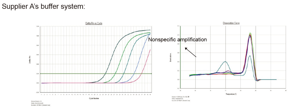 The dual-enzyme system ensures stable and efficient amplification