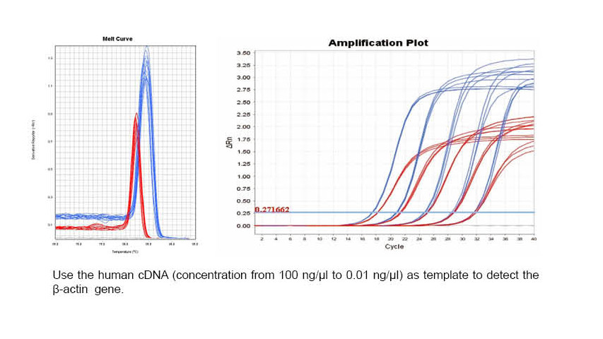 Strong amplification capability- Stronger fluorescence signal