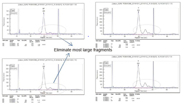 Experimental Example