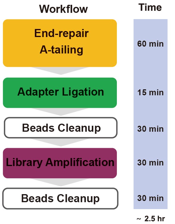 TIANSeq Fast DNA Library Kit (illumina)