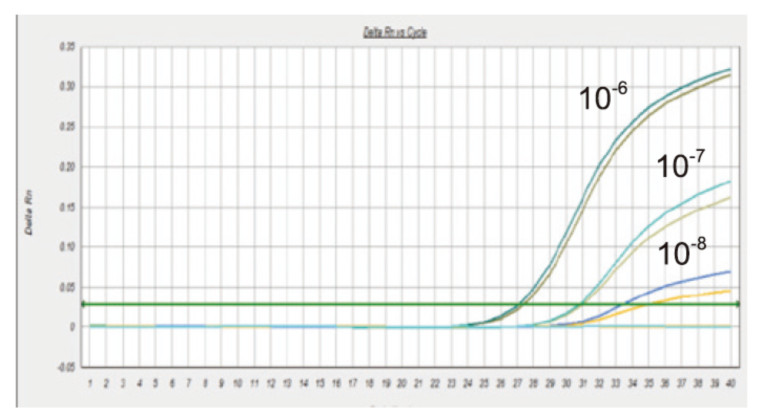 Real time PCR amplifi cation curve of TIANGEN DP438 
