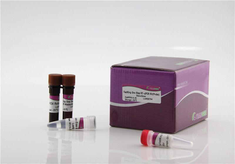 Probe-based real time PCR reagent/ raw enzymes/ ODM/ OEM