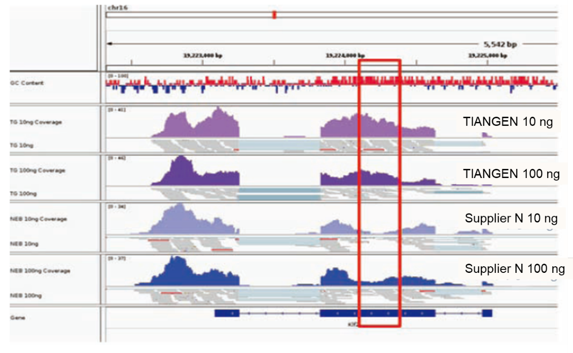 Uniform transcriptome coverage with low 5'-3' base bias