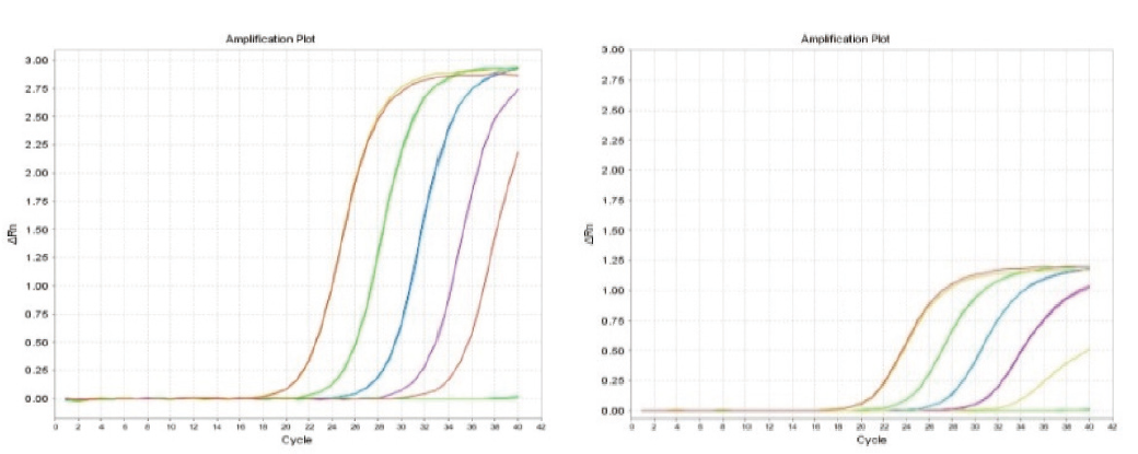 Strong amplification capability, more standard amplification curve and higher sensitivity