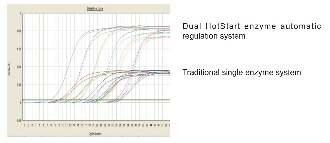 The dual-enzyme system ensures stable and efficient amplification