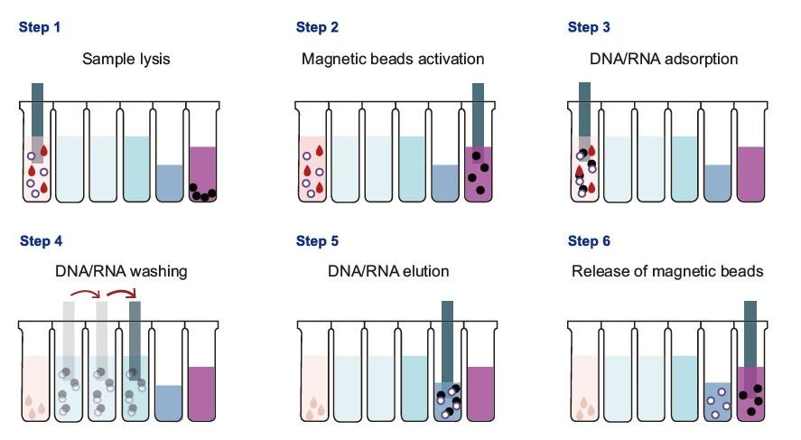 TGuide S32 Automated Nucleic Acid Extractor