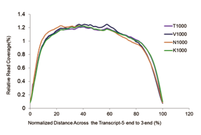 Comparison of library yield