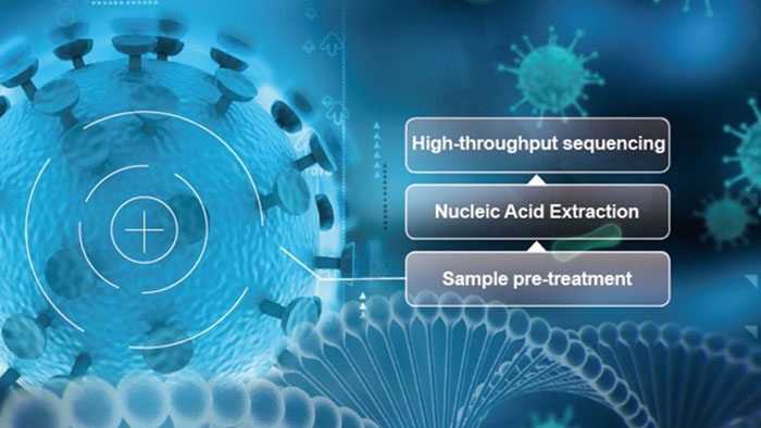  COVID-19 test——SARS-CoV2 Detection 