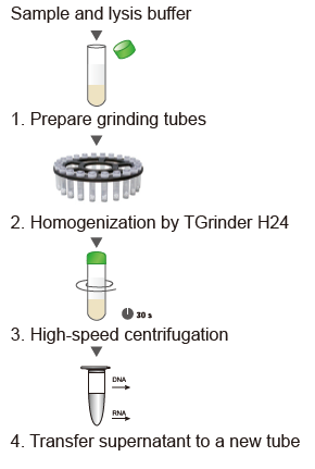 Experimental Procedure