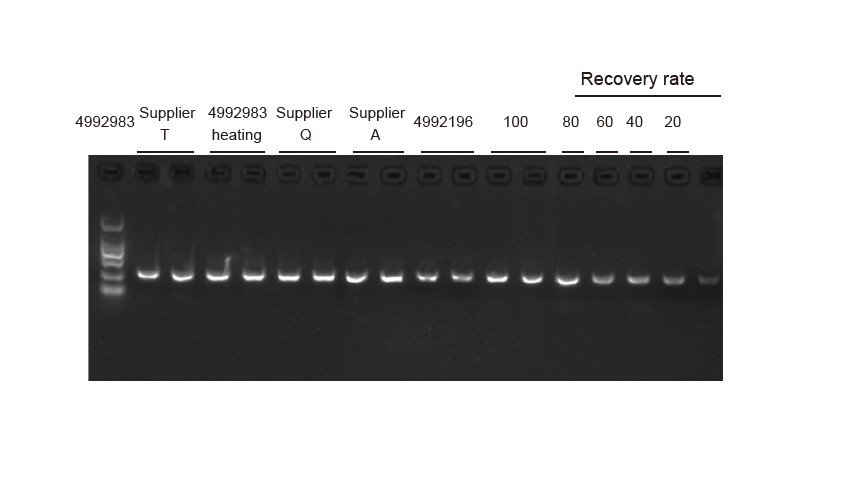 Experimental Example (1)