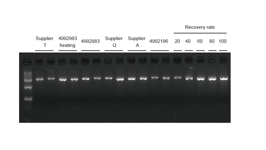 Experimental Example (4)