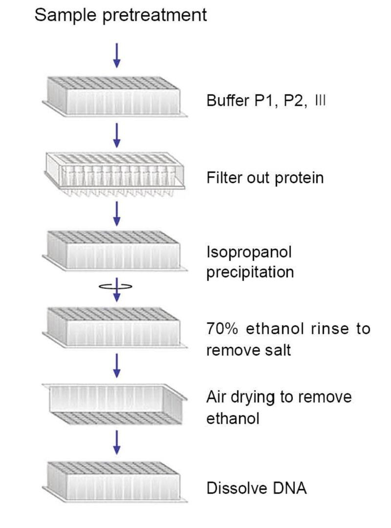 TIANprep Rapid N96 Plasmid Kit01