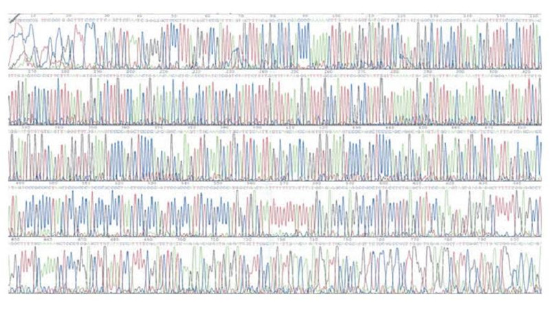 TIANprep Rapid N96 Plasmid Kit03