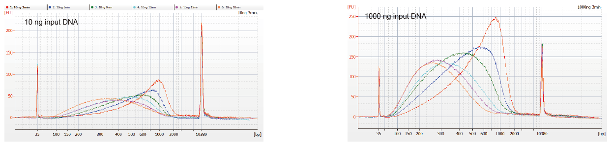 Flexible sample input and fragmented size