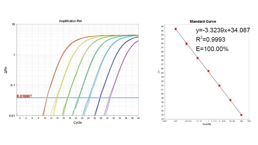 Wide linear detection range