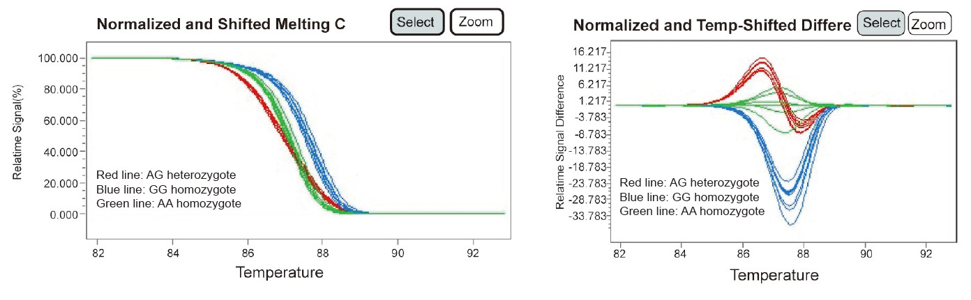 Experimental Example