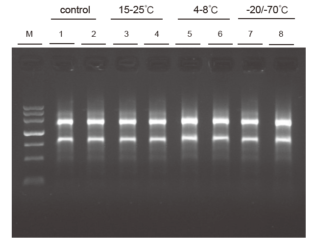 Experimental Example